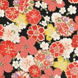 Shiga