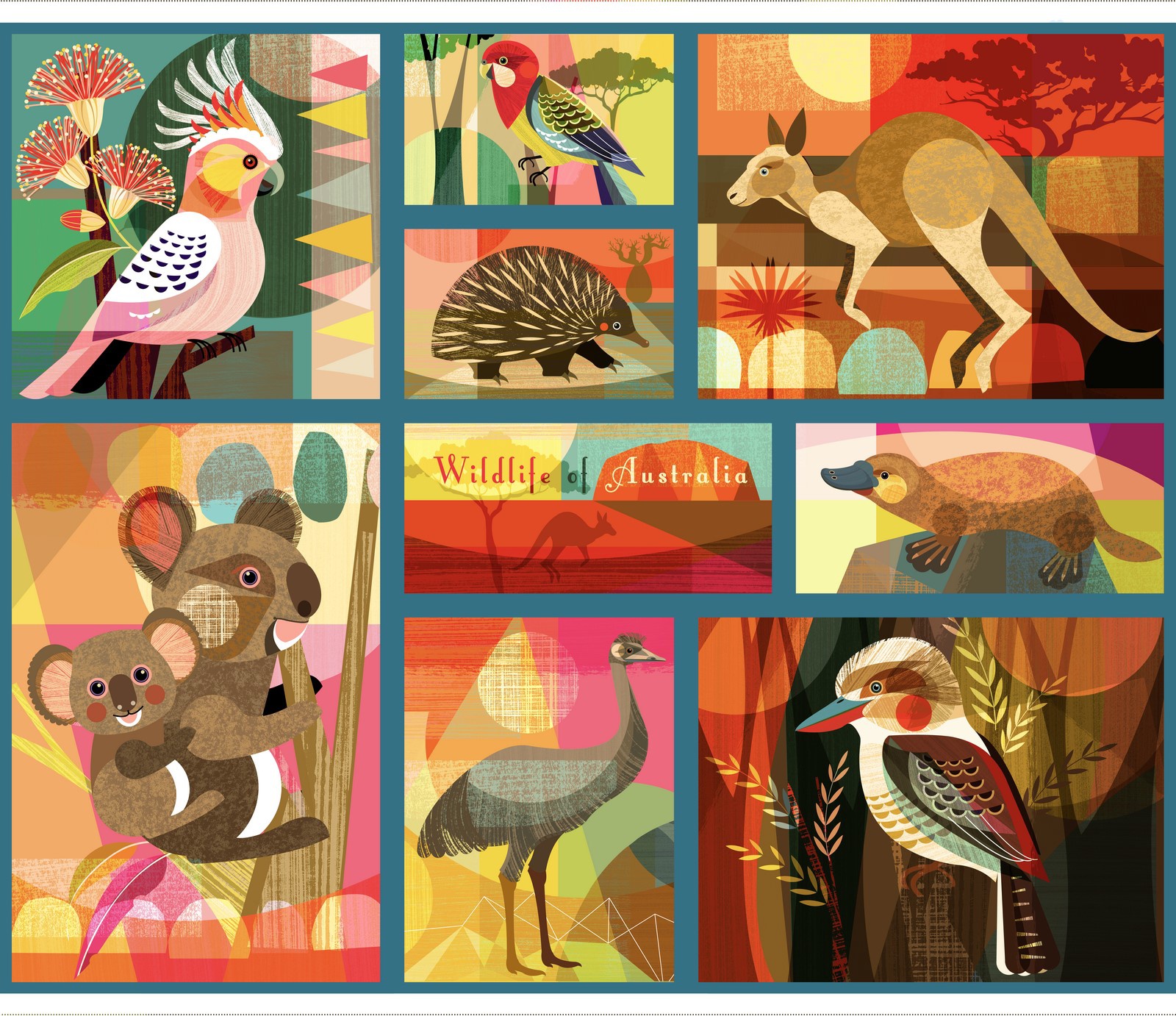 Wildlife Of Australia