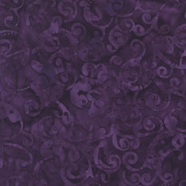 Blueberry By Jacqueline de Jonge