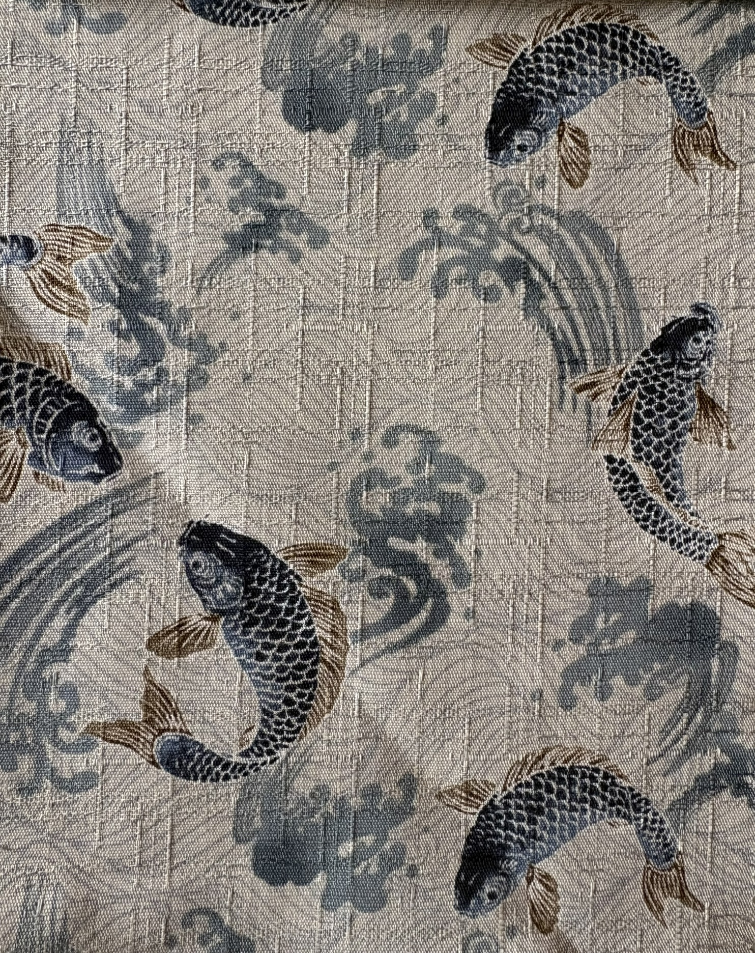 Koi