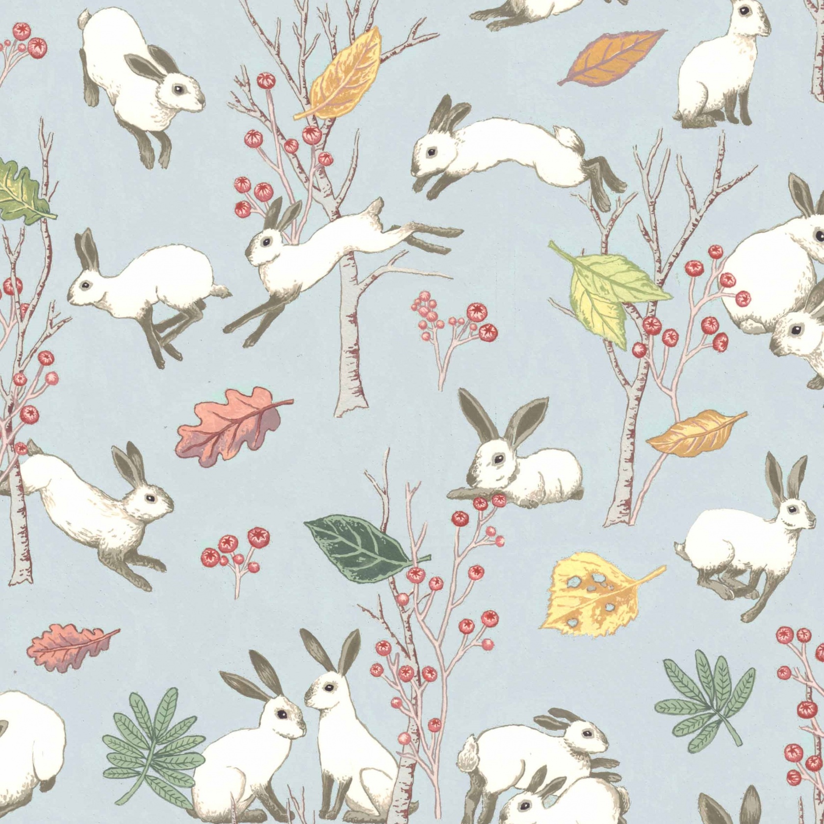 In The Meadow