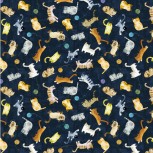 Cats Around Town