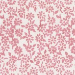 French Rose by Jacqueline de Jonge