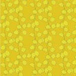 Sunshine By Sally Kelly