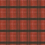 The Plaid One