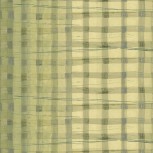 The Plaid One
