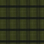 The Plaid One