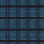 The Plaid One
