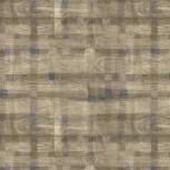 The Plaid One