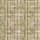 The Plaid One