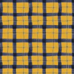 The Plaid One