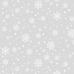 Winter Wonder