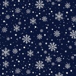 Winter Wonder