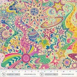 Cosmos By Sally Kelly