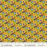 Cosmos By Sally Kelly