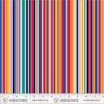 Cosmos By Sally Kelly