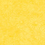 Daisy Petals by Jacqueline De Jonge