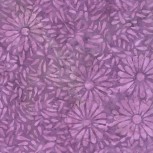 Daisy Petals by Jacqueline De Jonge