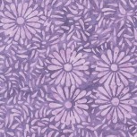 Daisy Petals by Jacqueline De Jonge