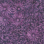 Daisy Petals by Jacqueline De Jonge