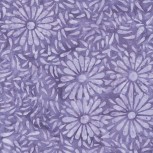 Daisy Petals by Jacqueline De Jonge