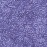 Daisy Petals by Jacqueline De Jonge