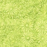 Daisy Petals by Jacqueline De Jonge