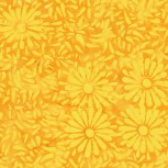 Daisy Petals by Jacqueline De Jonge