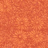 Daisy Petals by Jacqueline De Jonge