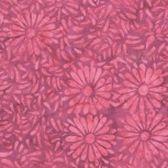 Daisy Petals by Jacqueline De Jonge