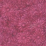 Daisy Petals by Jacqueline De Jonge