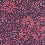 Daisy Petals by Jacqueline De Jonge