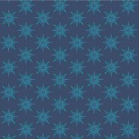 Celestial Skies By Sally Kelly