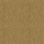 Winter Wool