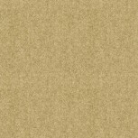 Winter Wool