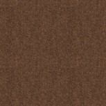 Winter Wool