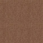 Winter Wool