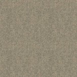Winter Wool