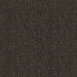 Winter Wool