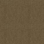 Winter Wool