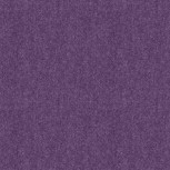 Winter Wool