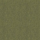 Winter Wool