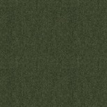 Winter Wool