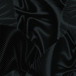 Echo