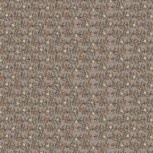 Hollyberry Christmas by Lynette Anderson