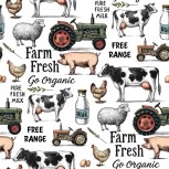 Farmyard