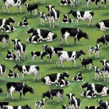 Farmyard