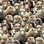 Farmyard