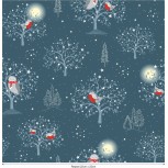 Winter Moonlight