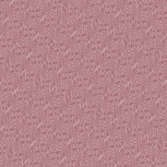 Fairy Garden By Lynette Anderson